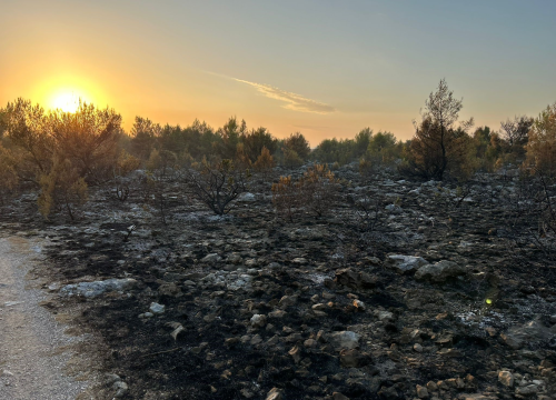Požari u Žagroviću, Konjevratima i Perkoviću brzo stavljeni pod kontrolu
