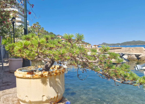 Fotografija 10 - Morska avantura  ŠibenikIN-a: Tjedan dana jedrenja do Dubrovnika, prekrasnih otoka i vala uz nezaboravnu igru dupina