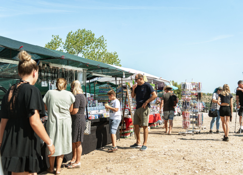 Fotografija 46 - Velik broj vjernika okupio se u marijanskom svetištu u Vrpolju: Misu predvodio biskup Rogić