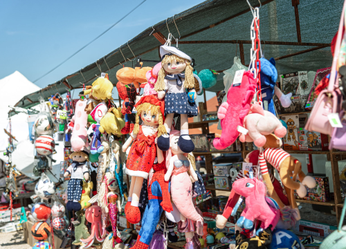 Fotografija 62 - Velik broj vjernika okupio se u marijanskom svetištu u Vrpolju: Misu predvodio biskup Rogić