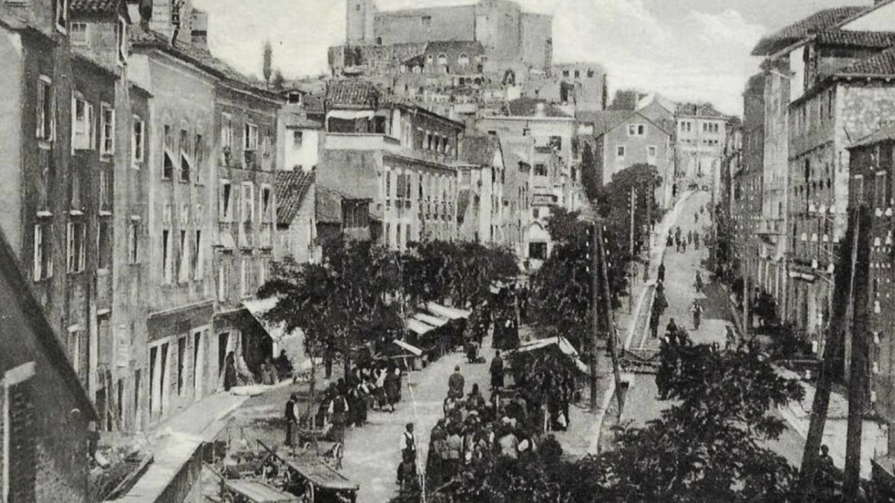 Šibenski leksikon: Znate li što znači žbalati na balote?