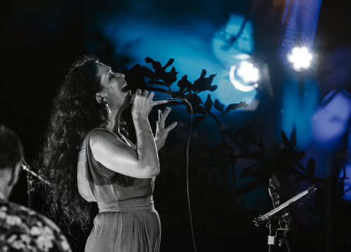 Fotografija 19 - Oblaci su se razišli, nevrijeme je pričekalo, a Lelu Kaplowitz je na pozornicu Baronea ispratio puni mjesec