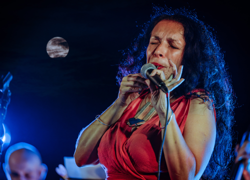 Fotografija 4 - Oblaci su se razišli, nevrijeme je pričekalo, a Lelu Kaplowitz je na pozornicu Baronea ispratio puni mjesec