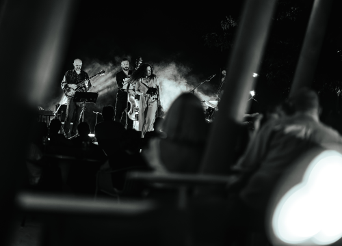 Fotografija 23 - Oblaci su se razišli, nevrijeme je pričekalo, a Lelu Kaplowitz je na pozornicu Baronea ispratio puni mjesec