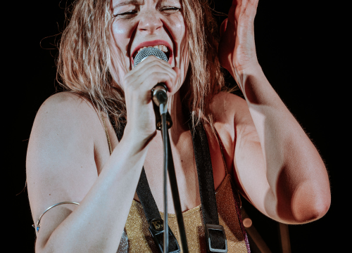 Fotografija 20 - Sandra Halužan Quartet na Baroneu: Od jazz i blues obrada zagorskih skladbi do Nine Simone