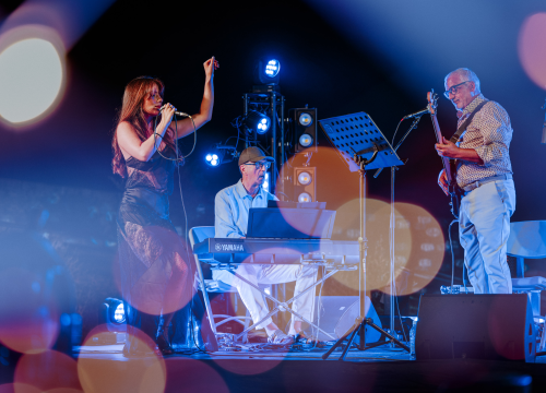 Fotografija 9 - Black Coffee i Ana Uršula Najev na rasprodanom Baroneu: Spoj mladosti i iskustva