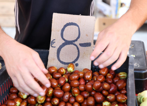 Cijena 8 eura po kilogramu: Na šibensku tržnicu stigle prve ovogodišnje žižule