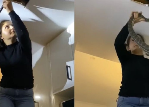 Odlučili istražiti buku koja je dopirala iz plafona: Zgrozili se kad su otkrili izvor