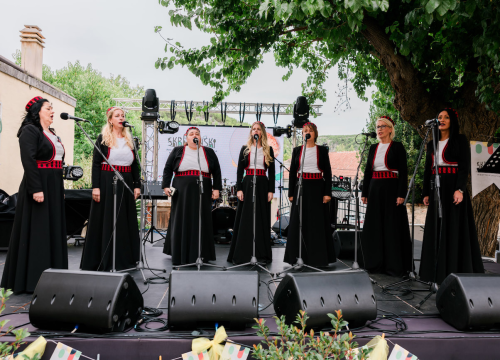 Fotografija 3 - 1. Skradinski festival rižota oduševio, tražila se porcija više