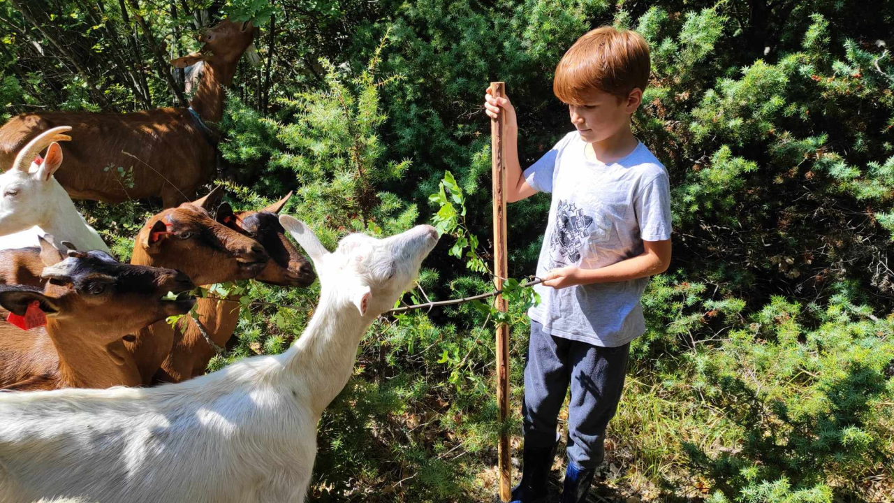 Sve je krenulo s nekoliko ovaca, a danas obitelj Zelenika iz Knina ima pravo životinjsko carstvo