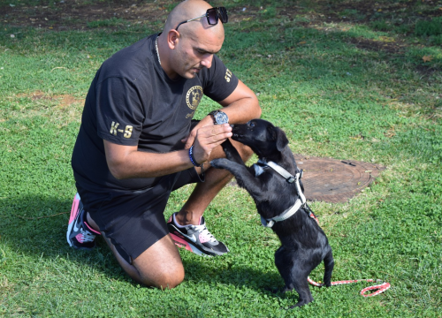 Ispred Azimuta obilježen Svjetski dan životinja