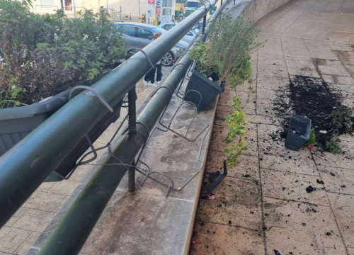 Vandali u centru Vodica porušili gredice sa cvijećem