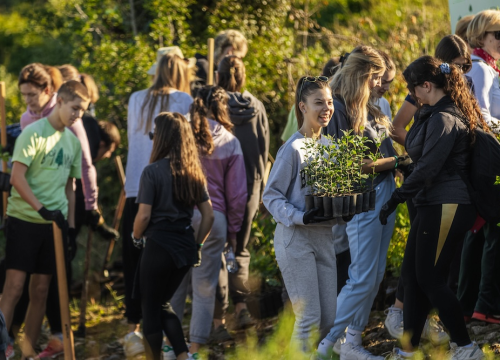 Stotine volontera pošumljavalo požarište u Grebaštici