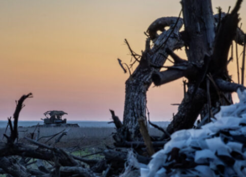 Vatikan odobrio mise za borbu protiv klimatskih promjena