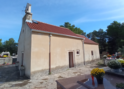 Fotografija 3 - Raslina sve do 2019. čekala da bude otkrivena. Otkrićima pomogao čak i požar