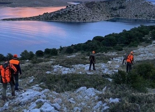 Na Kornatima sanitarni izlov čagljeva. Iz NP-a poručuju da nema straha za maslinare