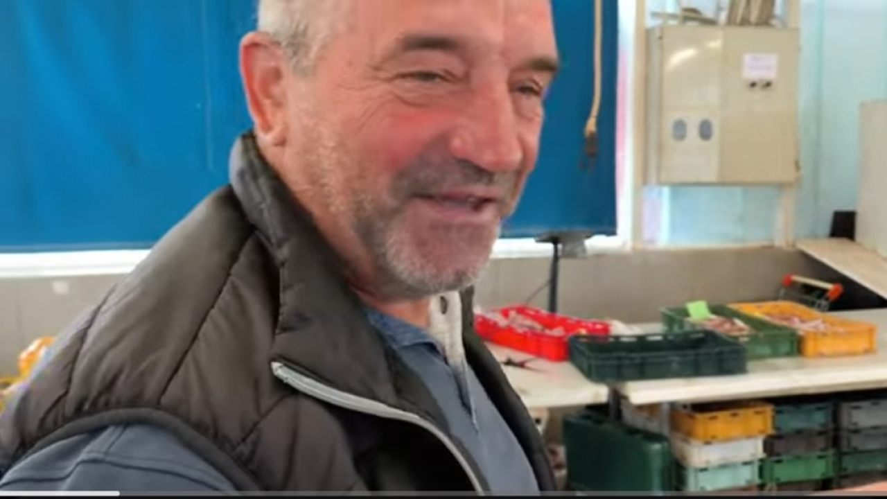 Subota na šibenskoj pijaci: Odlična ponuda na peškariji, a na pazaru osrednje