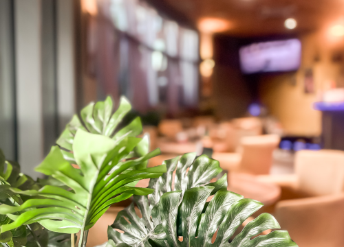 Fotografija 5 - Započinje nova sezona vrhunskih provoda u Majstora i Margarite