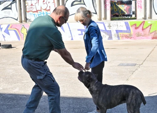 Fotografija 9 - Marko Čogelja savjetuje kako dobro odgojiti psa