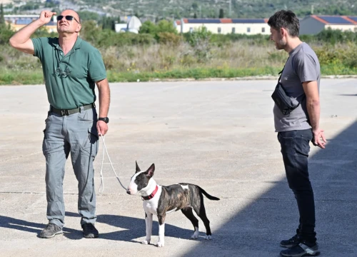 Fotografija 6 - Marko Čogelja savjetuje kako dobro odgojiti psa