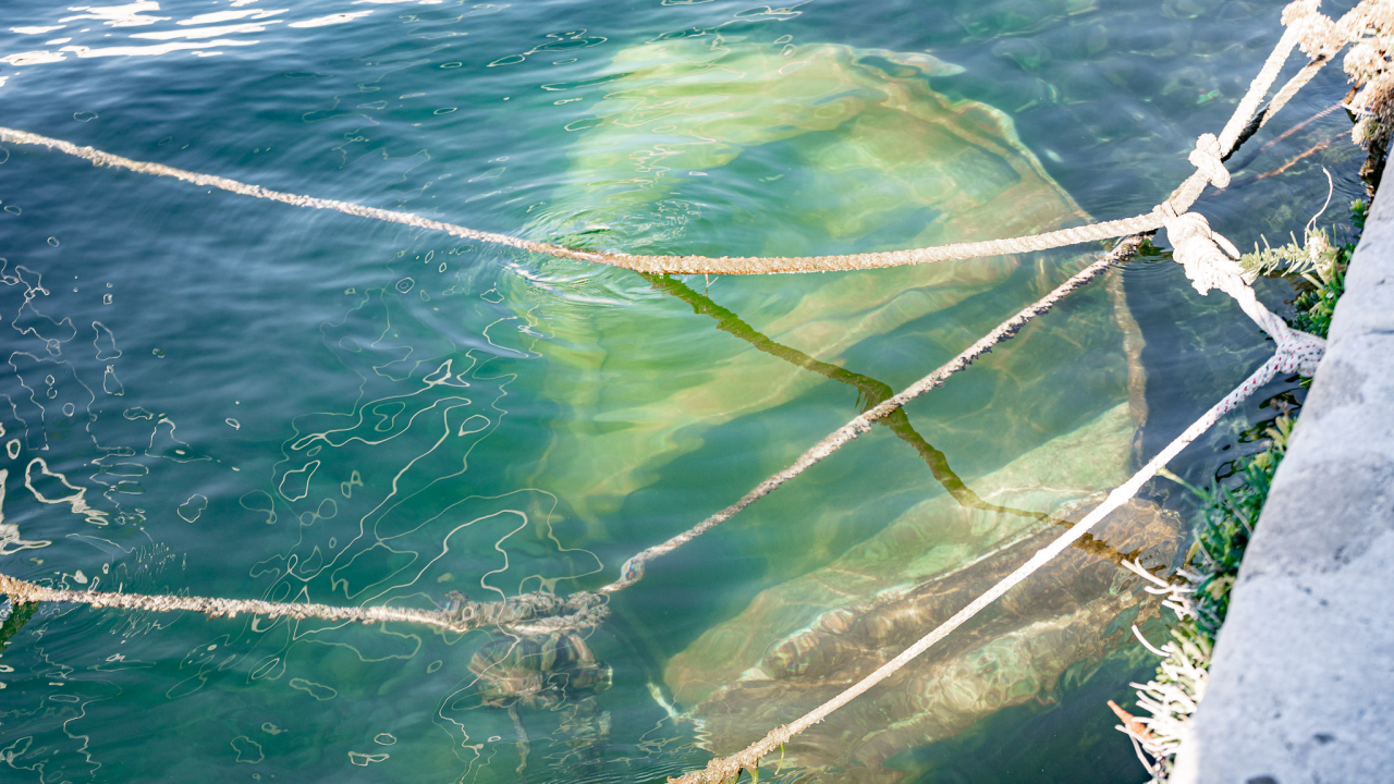 Nebriga, zaborav ili nešto drugo? U Docu na dnu mora leži mala barka