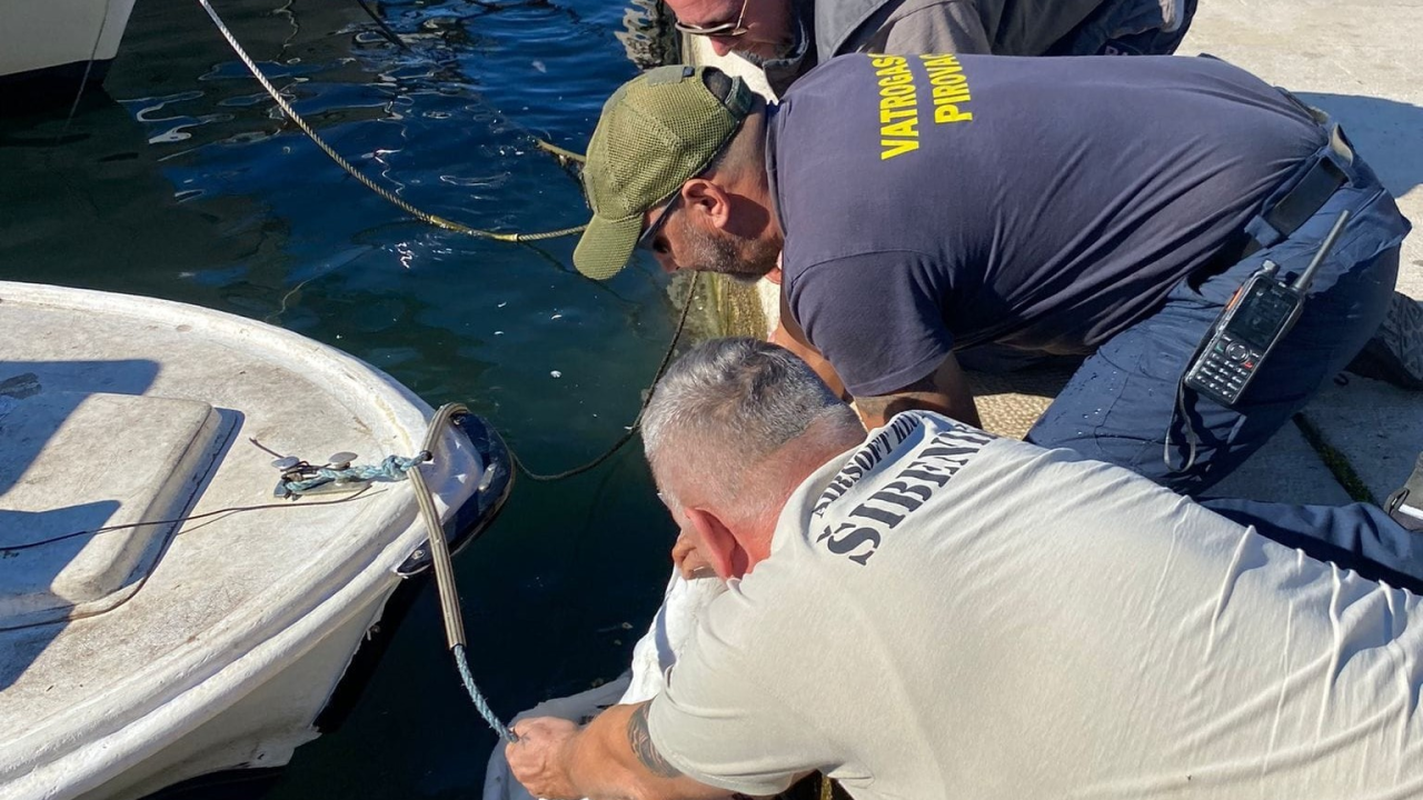 Slučajni susreti kolega vatrogasaca u Pirovcu doveli do neobične akcije spašavanja