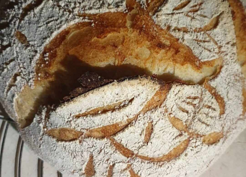 Fotografija 2 - Recept za sourdough kruh Sanje Antunac od durum pšenice