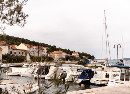 Koliko poznajete živi svijet Jadrana? Saznajte ovoga vikenda u Centru koralja Zlarin