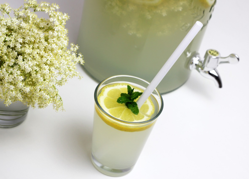 Jedite ovih šest namirnica za zdravlje vašeg mozga