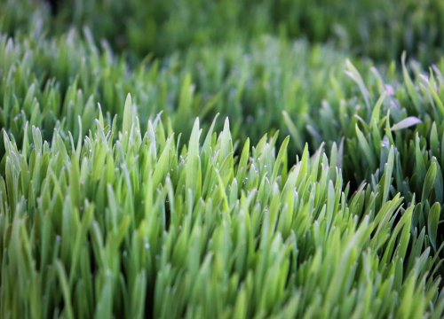 Udruga Argonaut nagrađuje održive energetske projekte, rješenja i inovacije