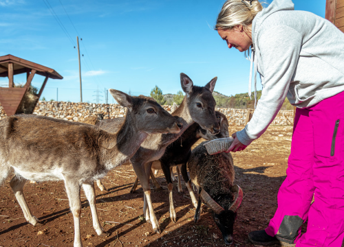 Jelena, Nina i Srećko oduševe svakoga tko posjeti Happy Horse u Dubravi