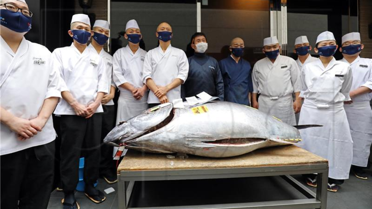 Tuna na prvoj aukciji ove godine dosegla cijenu od 1,3 milijuna dolara