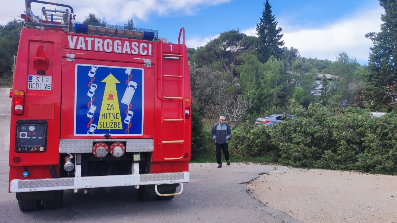 Bilički vatrogasci uklanjali stablo s prometnice