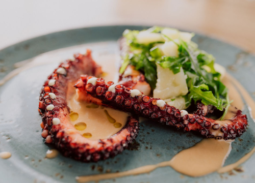 Fotografija 1 - Foto Bistro Kod Starog: Savršen bijeg od zime u ugodnom ambijentu