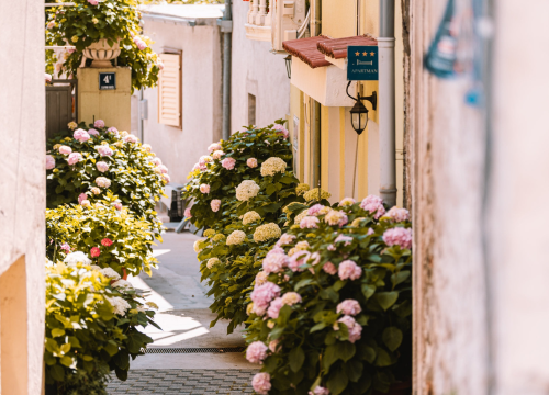 Prijave u tijeku: Postanite najbolji iznajmljivač Šibensko-kninske županije i osvojite vrijedne nagrade