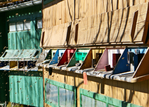 Ilegalni apartman zamaskirali u košnicu i stavili natpis ‘Čuvaj se pčela’