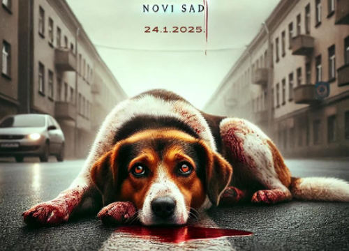 Kujica Dona postala simbol otpora u Srbiji: 'Ovo je borba za svako bespomoćno stvorenje'