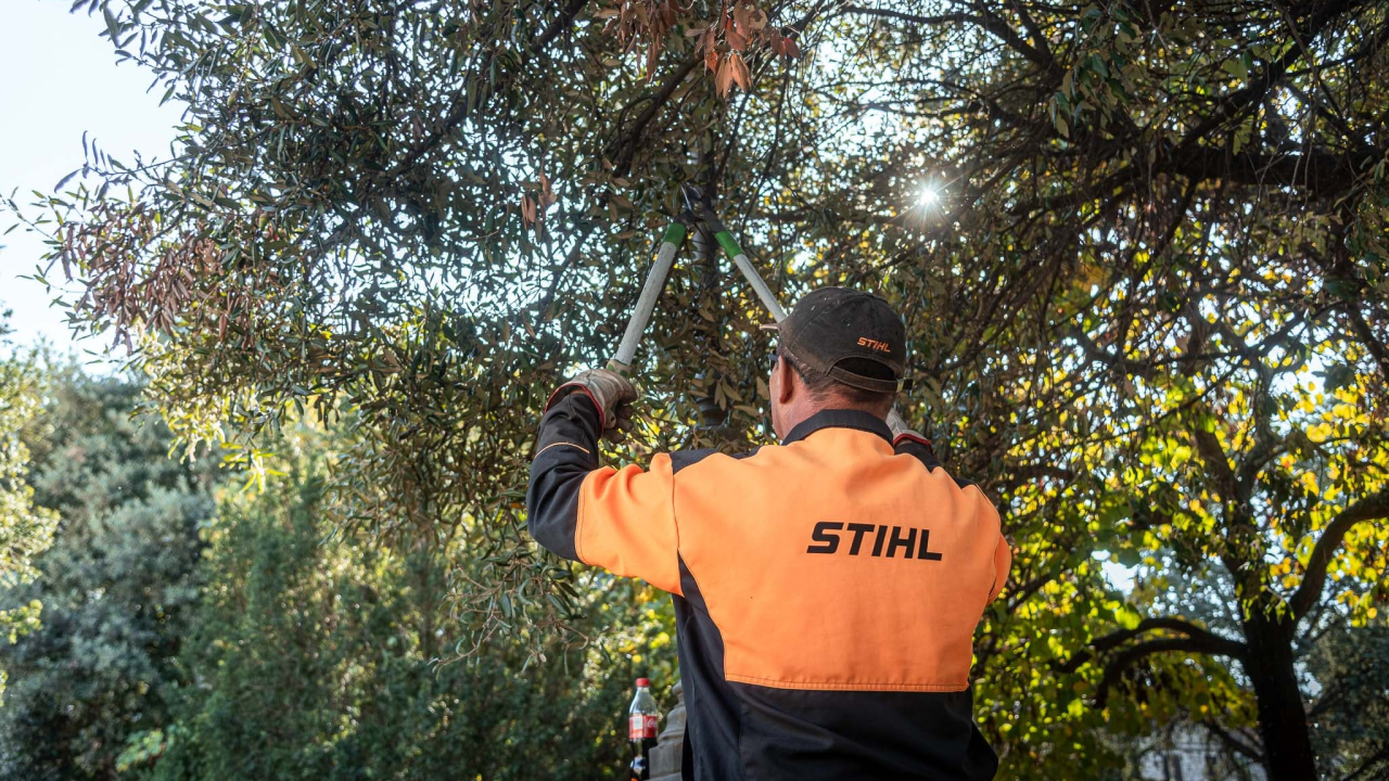 Što vam je draže, stablo ili parkirno mjesto?: 'Parkirno misto, ovi šta kažu stablo nemaju ni biciklu'