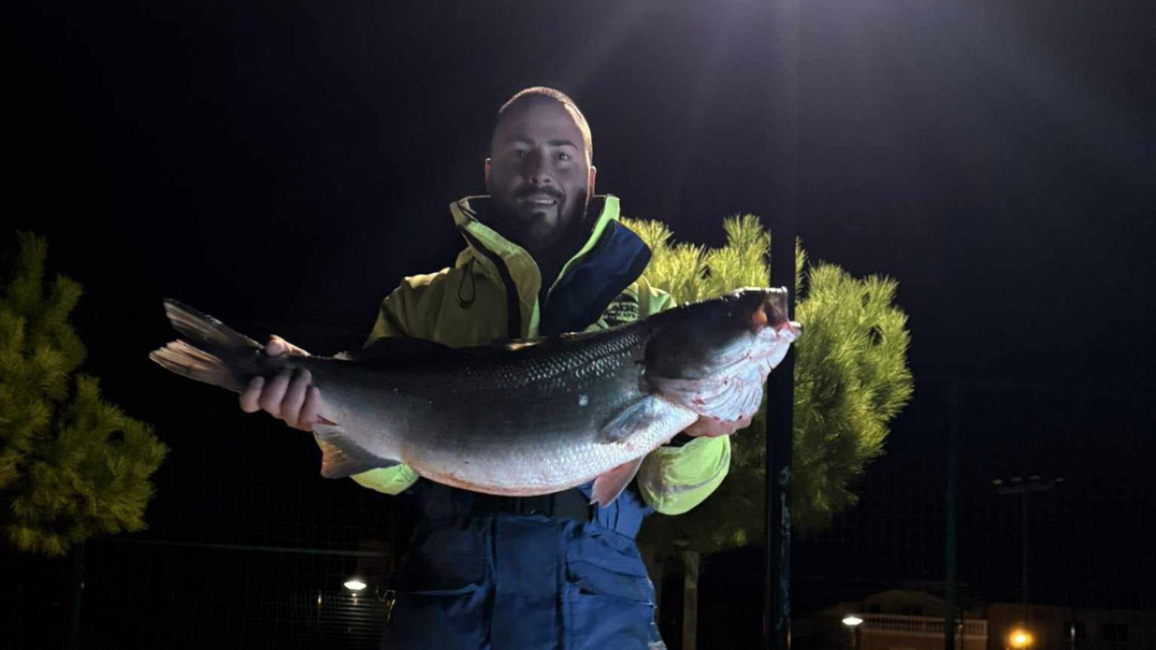Rekordni ulov: Brancin od 8 kilograma ulovljen na sviću kod Srime