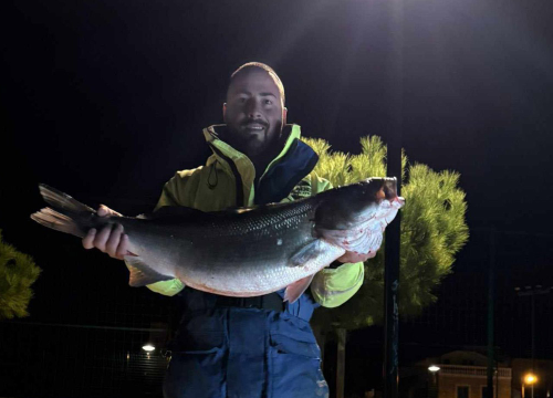 Rekordni ulov: Brancin od 8 kilograma ulovljen na sviću kod Srime