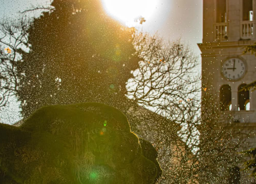 Šibenska atrakcija: Živa fontana kod Gospe vanka grada rijetkost i u svijetu