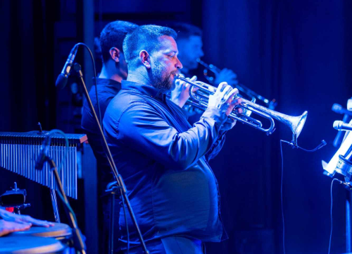 Fotografija 10 - Matija Cvek i Big Band Vodice oduševili publiku spektakularnim koncertom