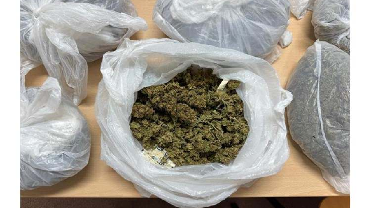 Pretragom kuće na području Šibenika policija pronašla više od 2 kilograma marihuane