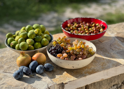 Besplatna radionica za male proizvođače: Tehnologijama do lakšeg plasmana lokalne hrane