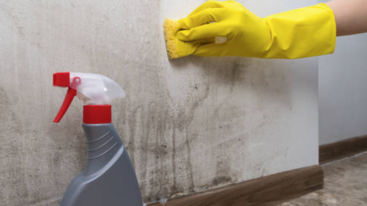 Dojadilo vam je čišćenje pljesnivih i vlažnih zidova, ništa više ne pomaže? Postoji rješenje!