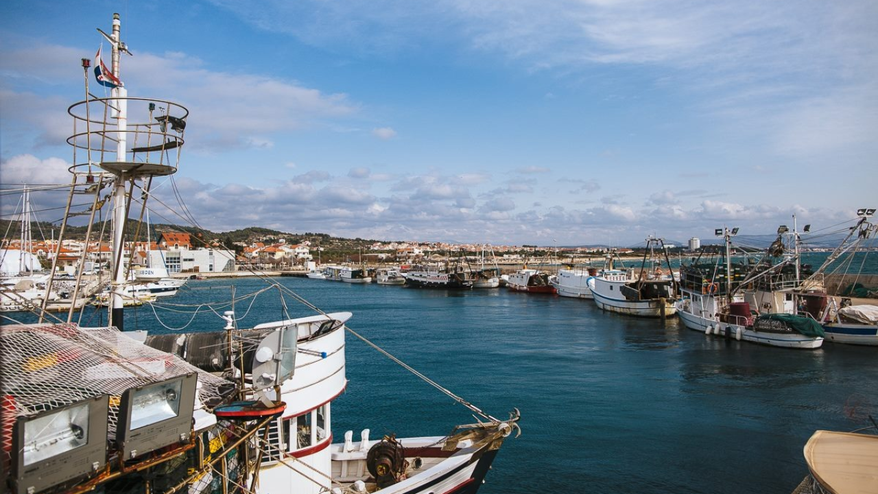 I ovog ljeta u Tribunju će biti održan festival Papandopulijana