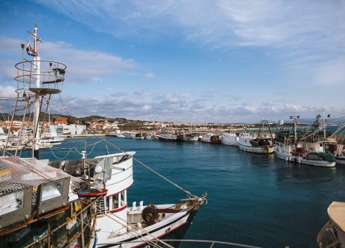 I ovog ljeta u Tribunju će biti održan festival Papandopulijana