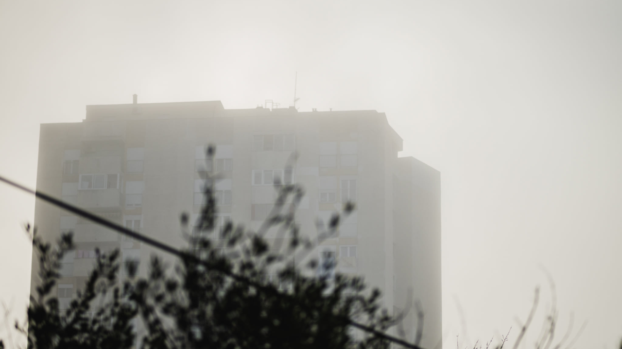 Sakupljanje magle moglo bi ublažiti nestašicu vode u najsušim regijama