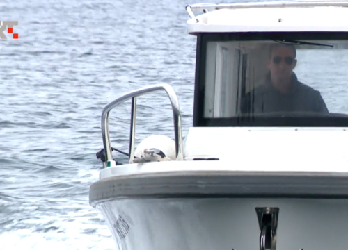 Toni s Ugljana prije 10 godina spasio dupina u nevolji, a neki dan mu se dogodilo nešto jako neobično