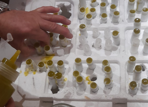 Fotografija 2 - Tribunjski umirovljenici na radionici izrađivali prirodnu kozmetiku